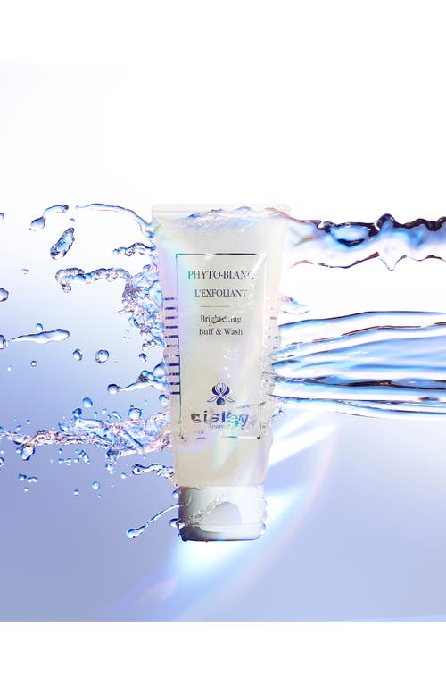 Sisley Paris Phyto-blanc Brightening Buff & Wash Cleanser In No Color