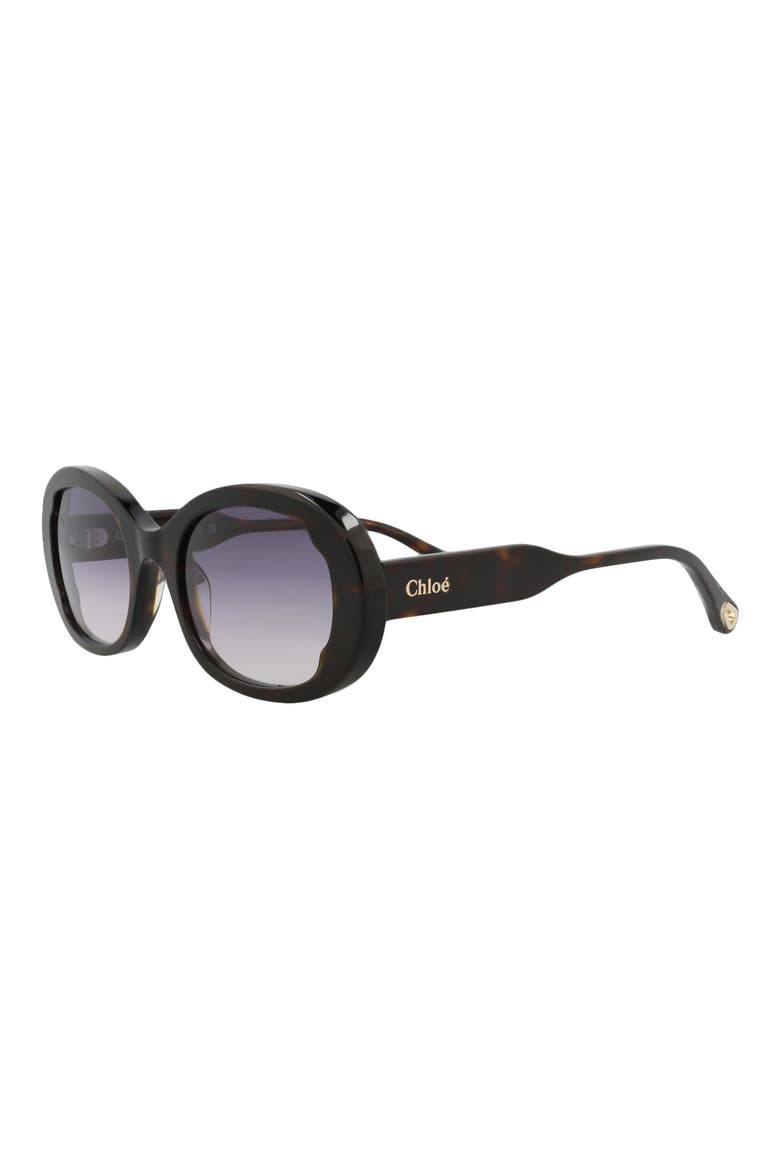 53mm Oval Sunglasses, Alternate, color, HAVANA HAVANA BLUE