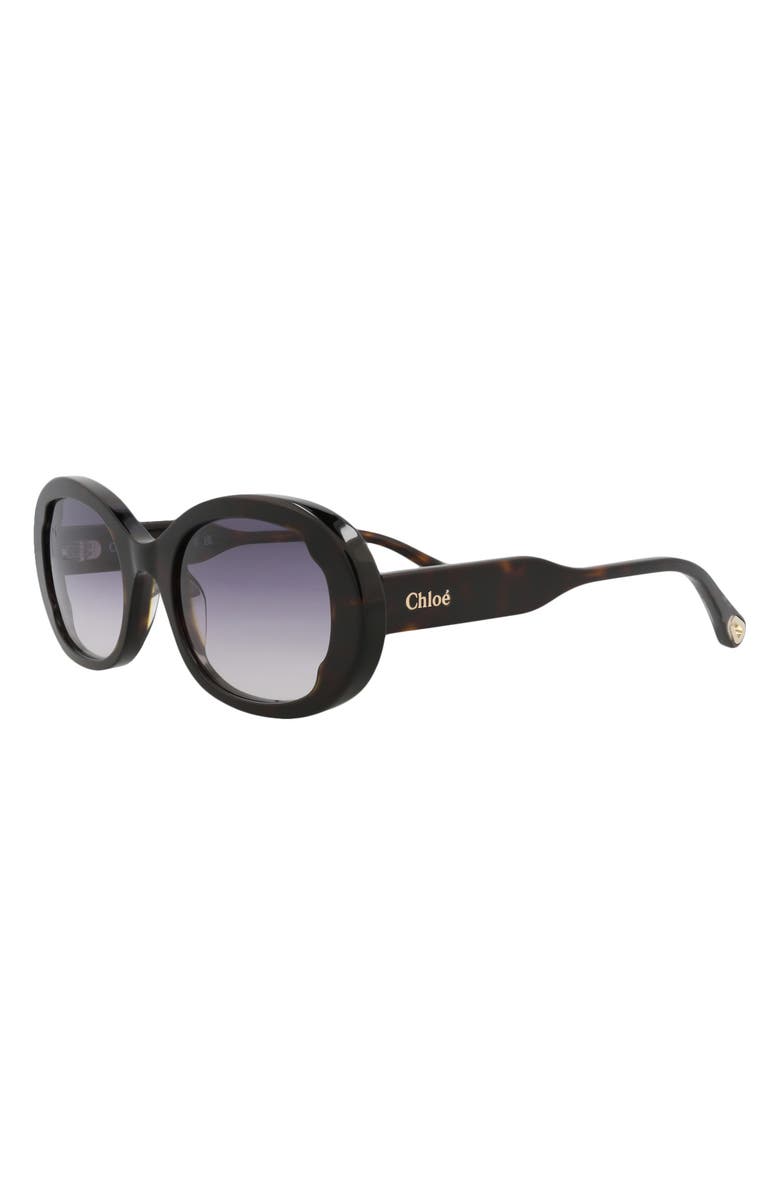 Chloé 53mm Oval Sunglasses, Alternate, color, Havana Havana Blue