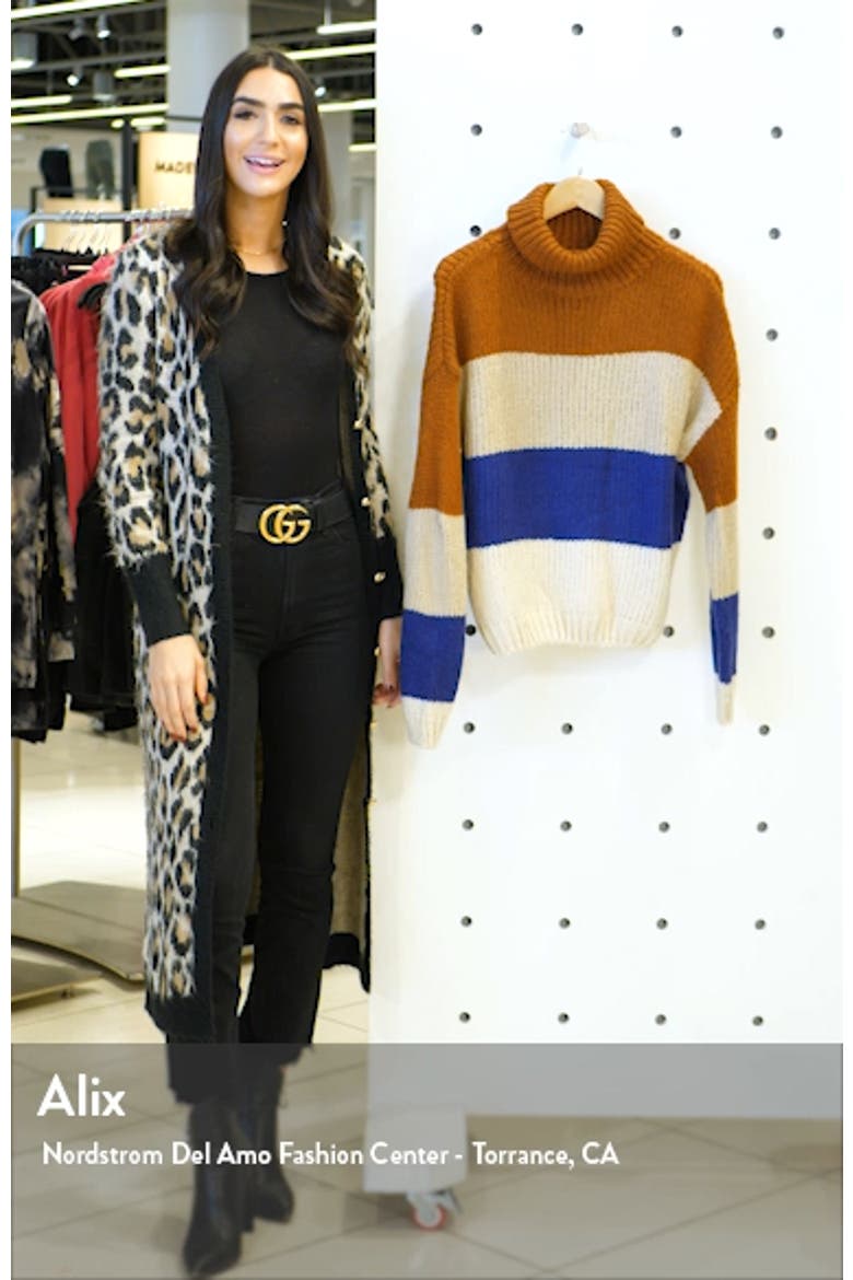 Stripe Turtleneck Sweater video