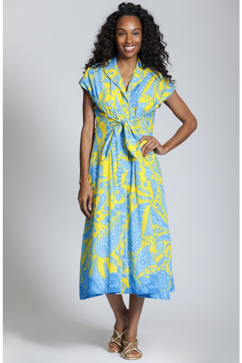 Paisley Print Tie Front A-Line Dress, Alternate, color, YELLOW MULTI