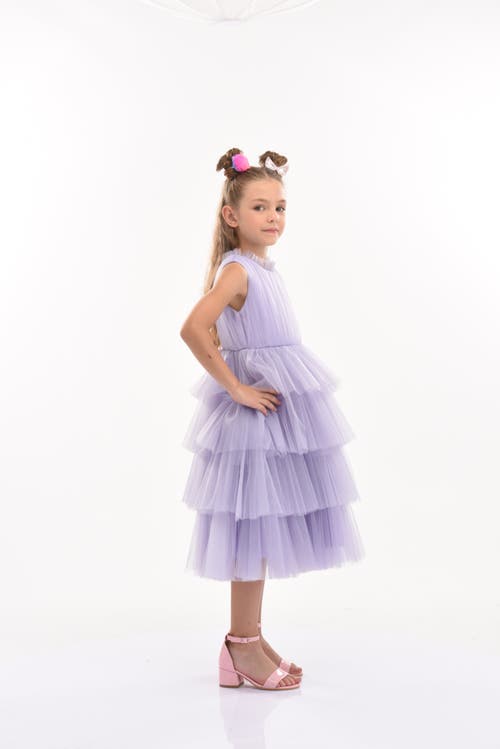 Tulleen Farvue Tiered Tulle Dress In Purple