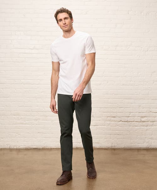 Pact Organic Cotton Stretch Twill 5-pocket Pant In Brown