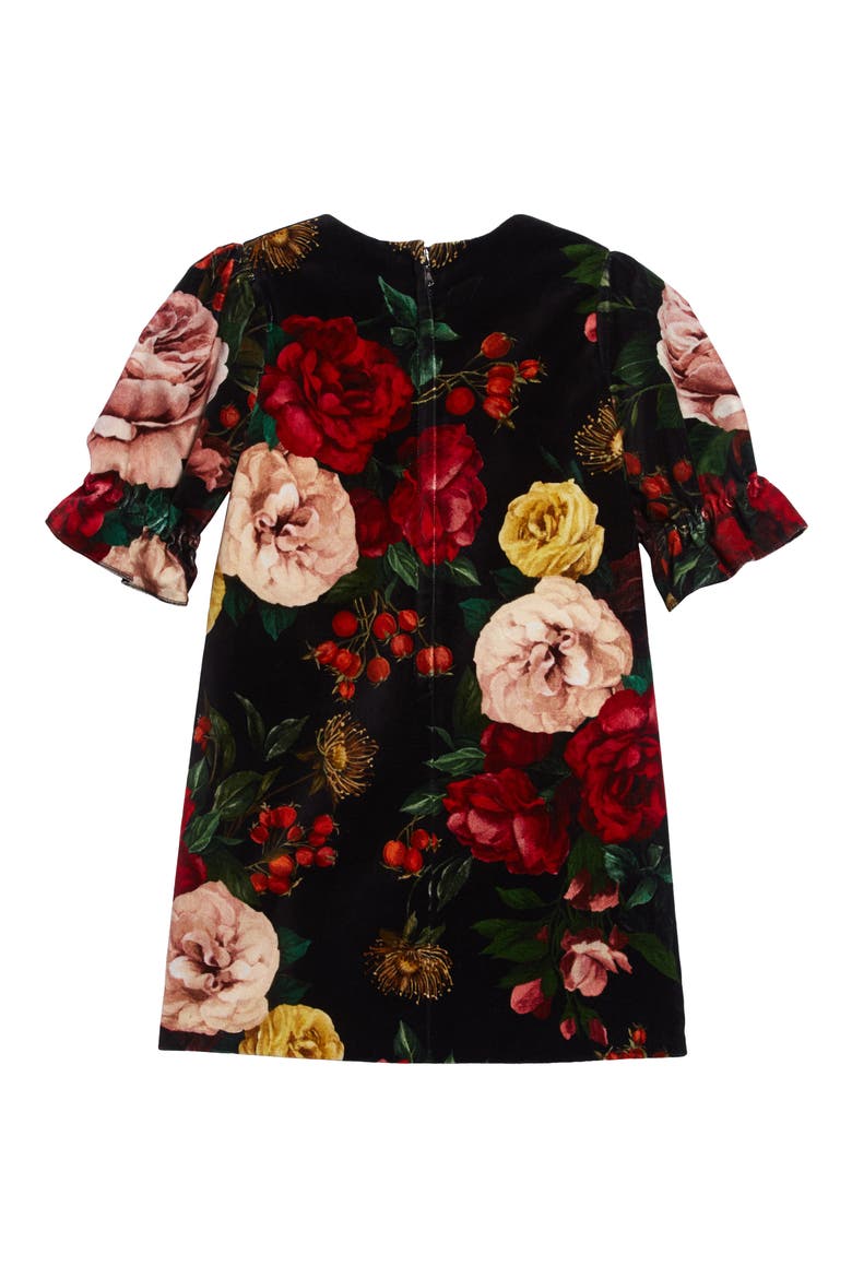 Floral Velveteen Dress, Alternate, color, ROSE/ BLACK