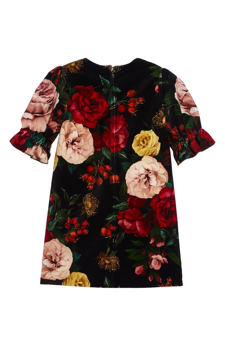 Dolce&Gabbana Floral Velveteen Dress, Alternate, color, 