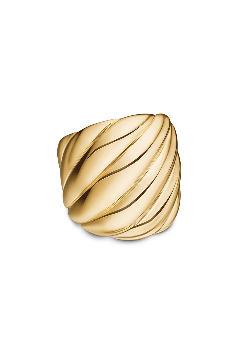 Sculpted Cable Ring in 18K Yellow Gold, Main, color, 18K YELLOW GOLD