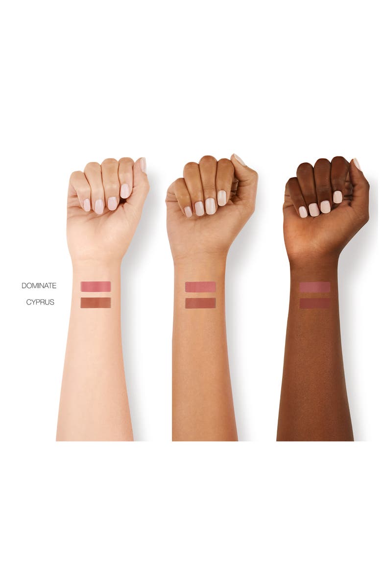 Blush & Bronzer Duo (Limited Edition), Alternate, color, DOMINATE / CYPRUS