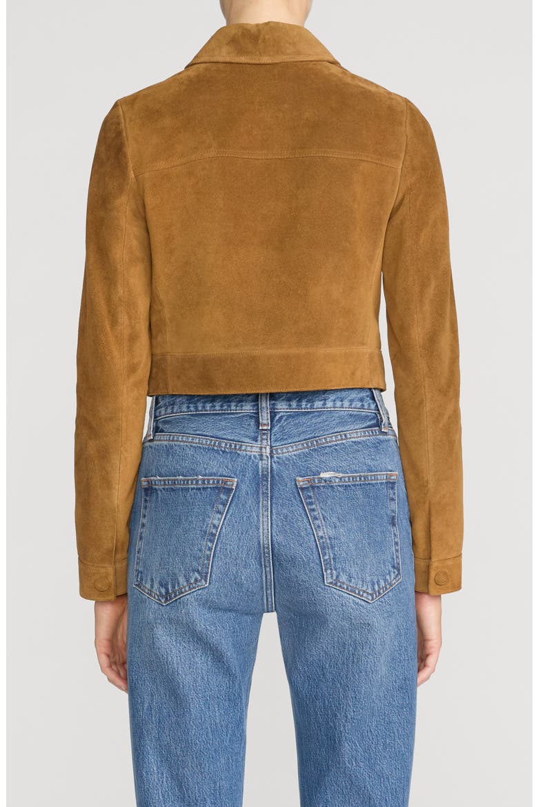 The Small Suede Jacket, Alternate, color, SADDLE