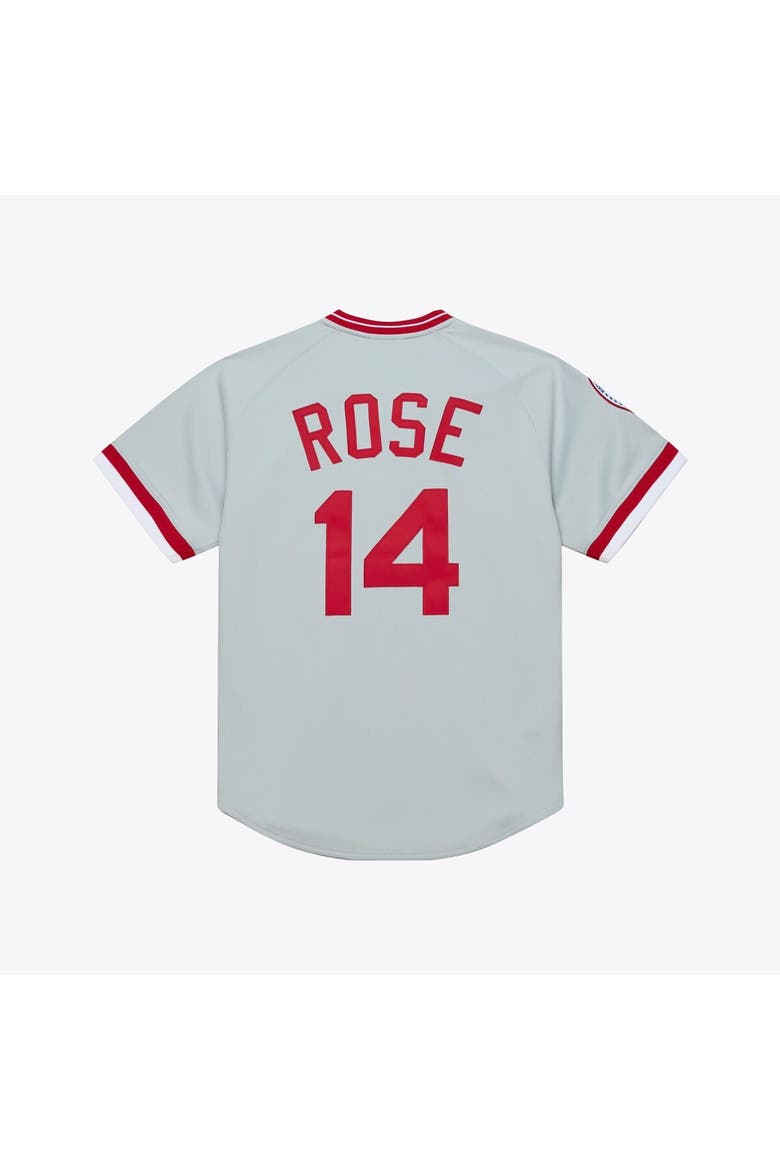 Men's Mitchell & Ness Pete Rose Gray Cincinnati Reds 1976 Authentic Jersey, Alternate, color, Gray