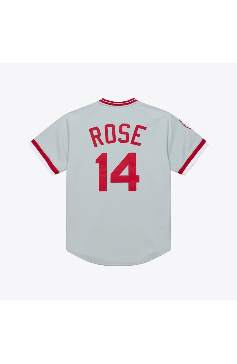 Mitchell & Ness Men's Mitchell & Ness Pete Rose Gray Cincinnati Reds 1976 Authentic Jersey, Alternate, color, Gray