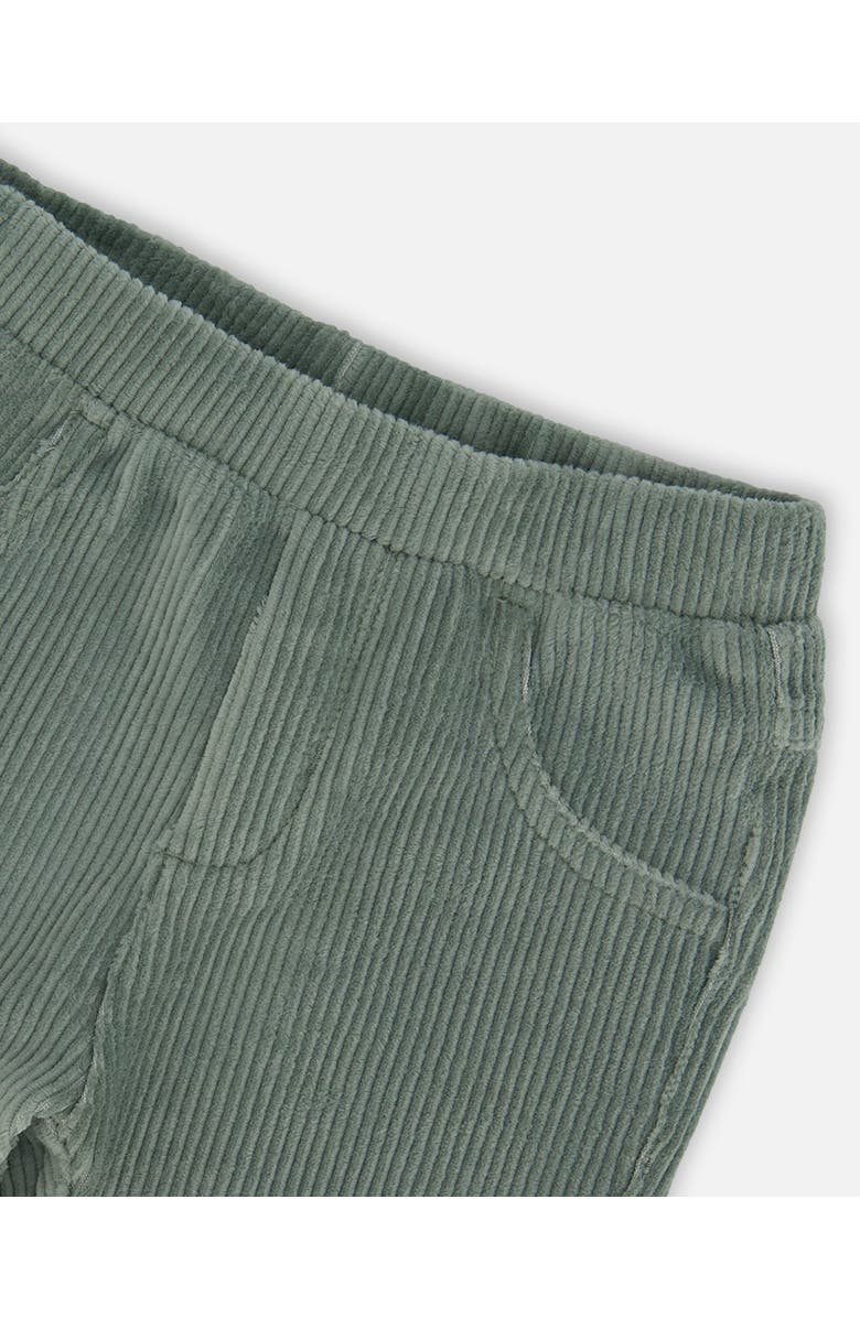 Deux par Deux Stretch Velour Tregging, Alternate, color, 