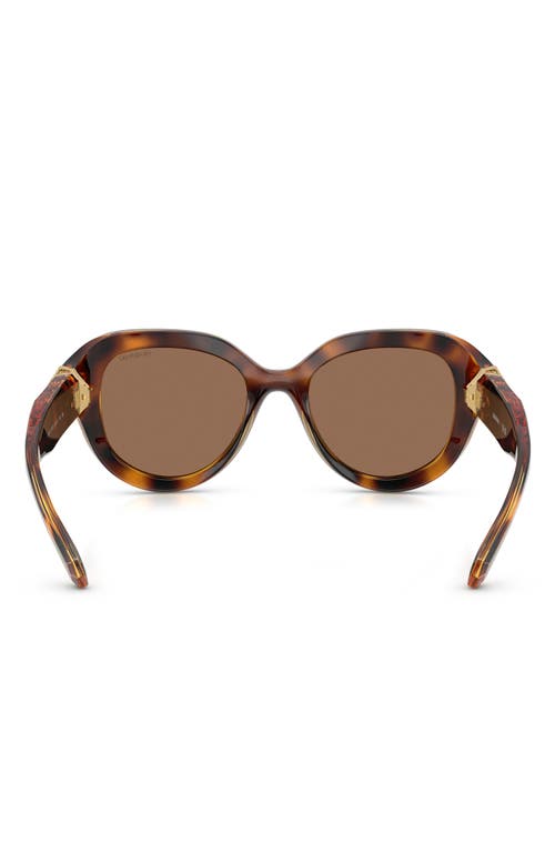 Swarovski 50mm Small Round Sunglasses In Brown