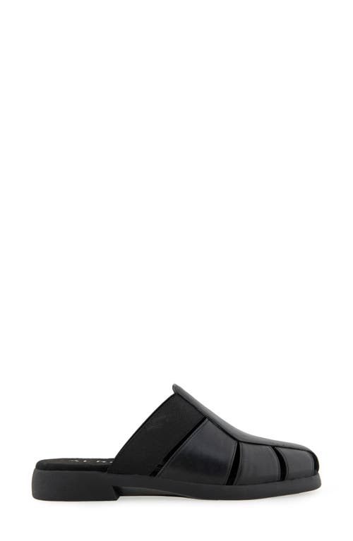 AEROSOLES AEROSOLES 4EVER FISHERMAN MULE SANDAL