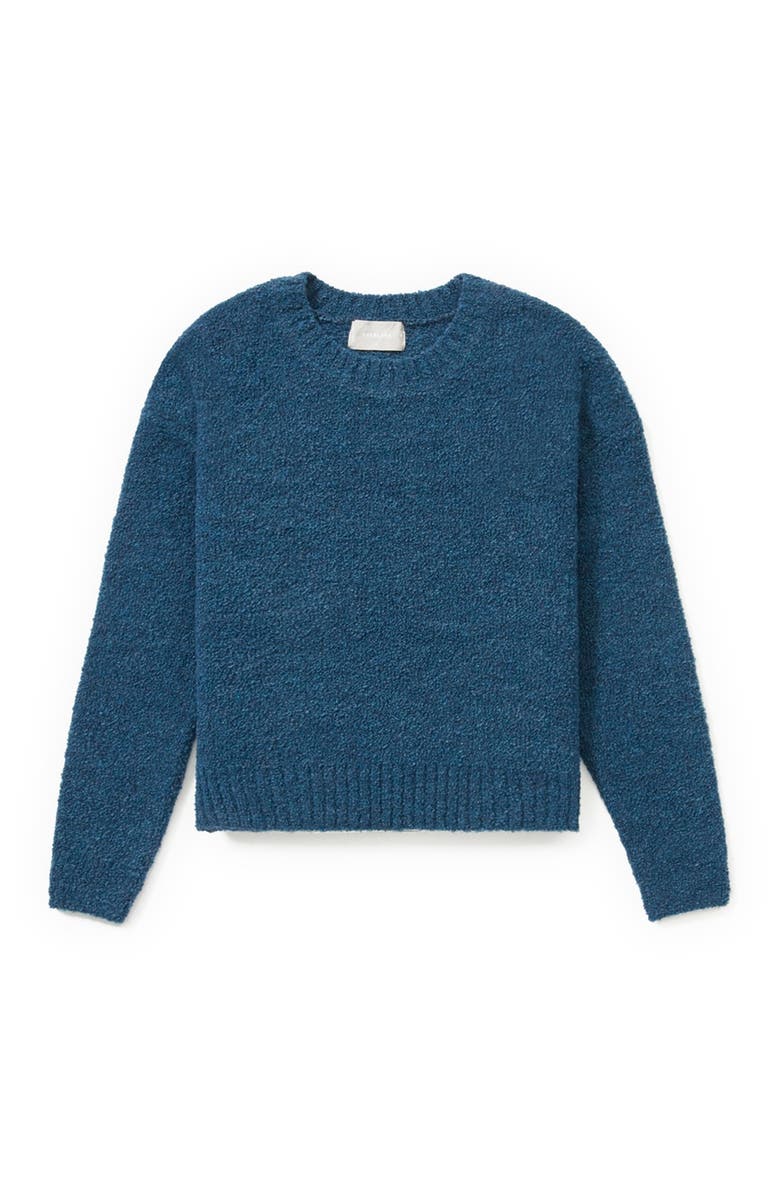 Everlane The Teddy Wool Blend Crew Neck Sweater, Alternate, color, 