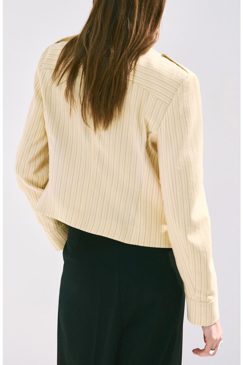 Pinstripe Button Front Jacket, Alternate, color, PASTEL YELLOW