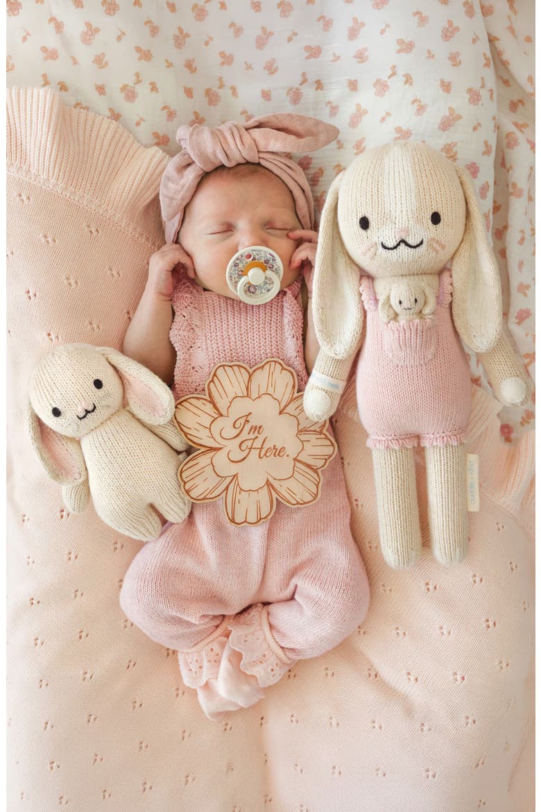 Little Briar the Bunny Stuffed Animal, Alternate, color, PINK