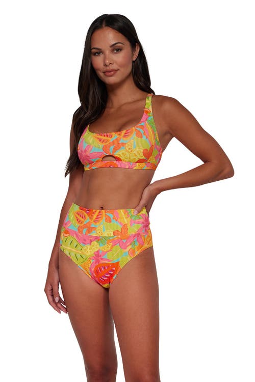 Sunsets Hannah High Waist Bikini Swim Bottoms