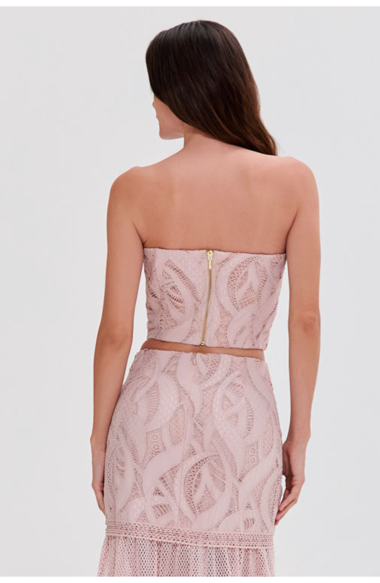 PatBO Aura Lace Bustier Top, Alternate, color, Rose