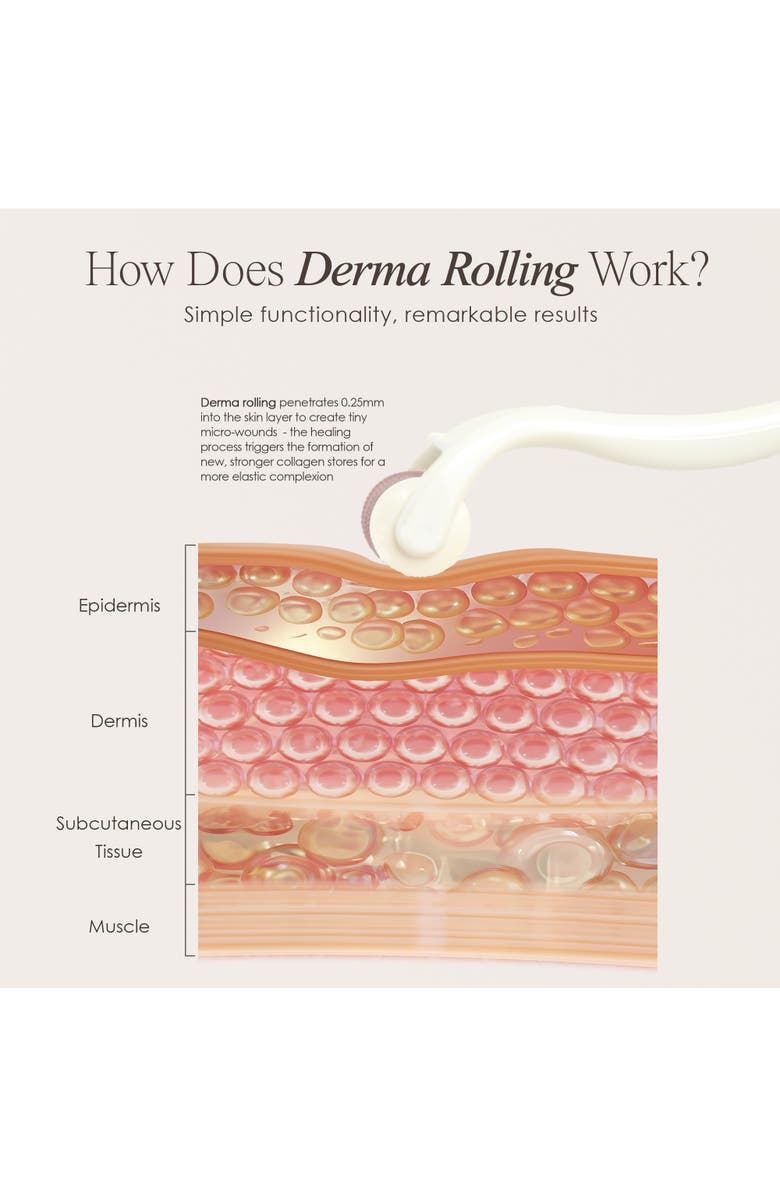 Project E Beauty The Derma Roller 540 Titanium Microneedle Facial Tool, Alternate, color, White