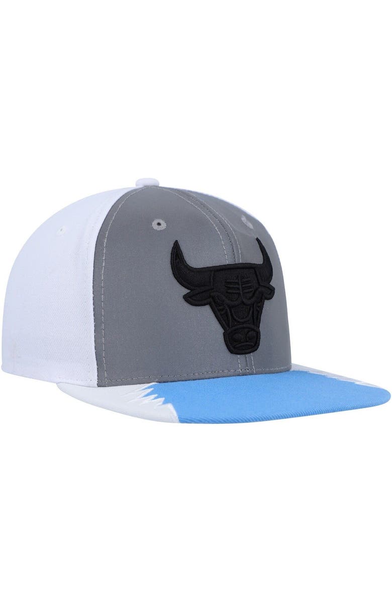 Mitchell & Ness Men's Mitchell & Ness Silver/Blue Chicago Bulls Day 5 Snapback Hat, Alternate, color, Silver