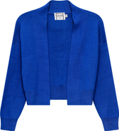 Milan Italy Cropped Knit Open Front Long Sleeve Cardigan