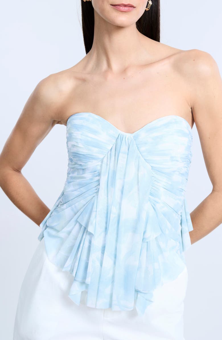 BCBGMAXAZRIA Print Mesh Corset Top, Alternate, color, Sky Floral Print