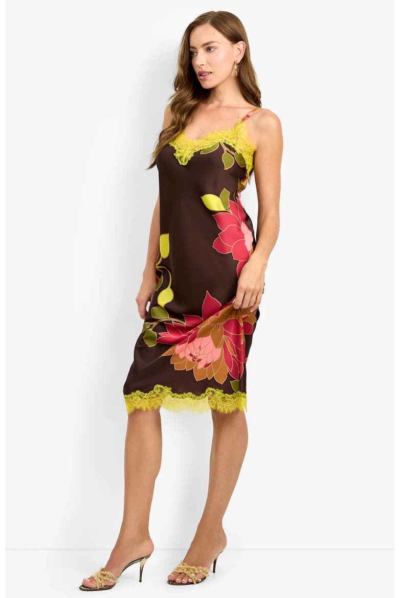 Caramia Sera Print Dress, Alternate, color, Sera