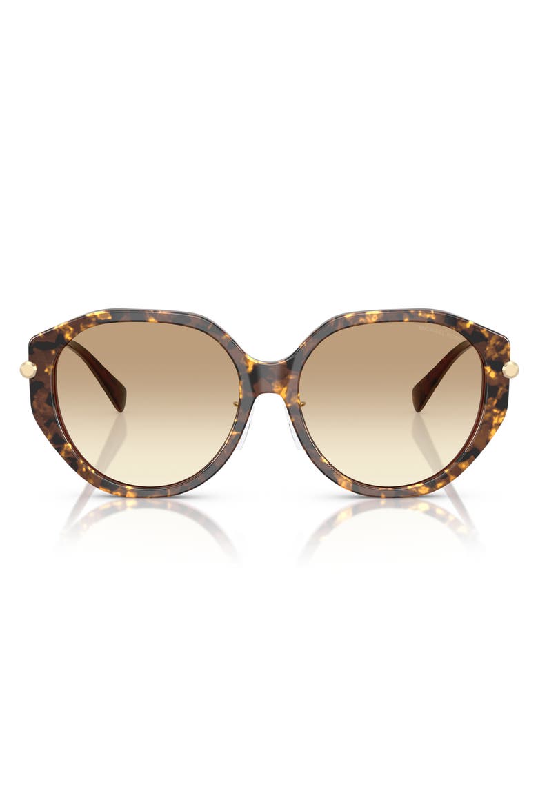 Jinan 56mm Gradient Irregular Sunglasses, Main, color, BROWN PEARLIZED TORTOISE