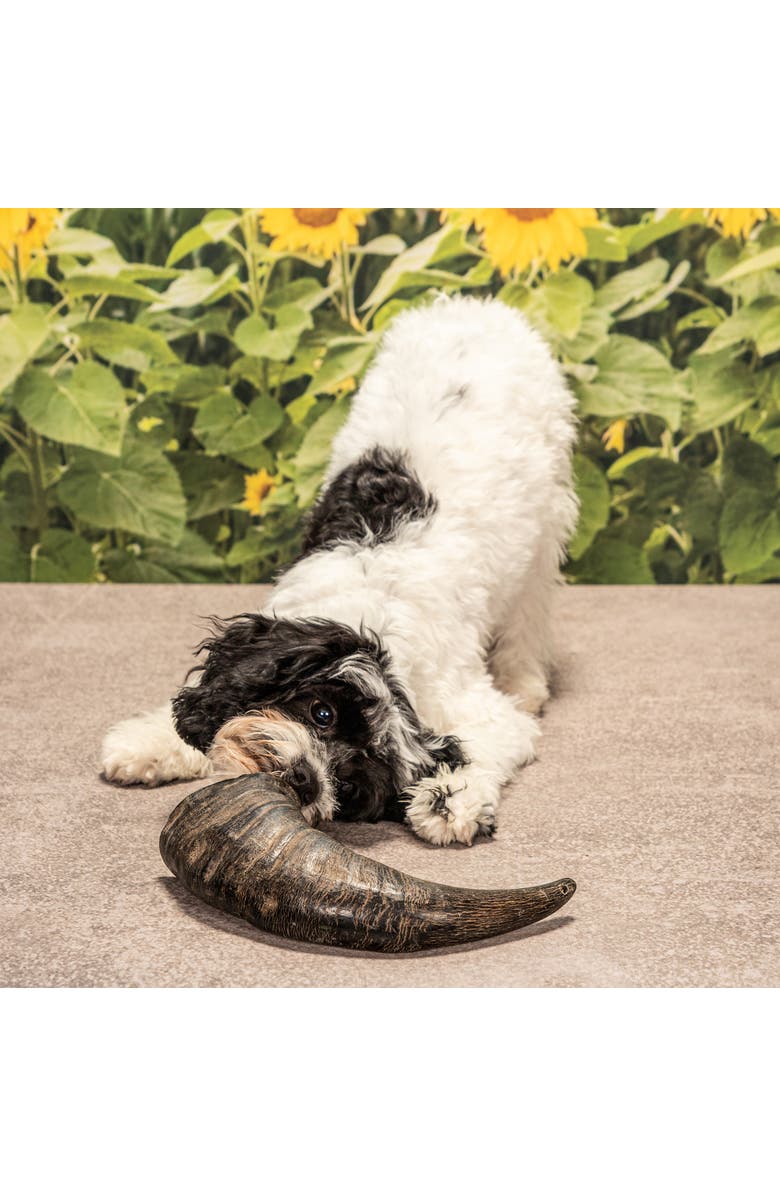 MOSSY OAK Water Buffalo Horn - Large - Dog Chew, Long Lasting Pet Treat, Alternate, color, Multicolored