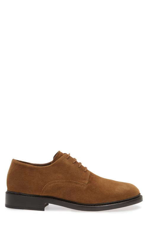 Vince Davies Plain Toe Derby In Vicuna Brown
