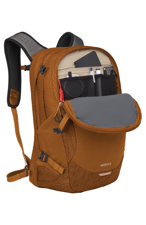 Osprey Nebula 32-liter Backpack In Toffee Orange Heather