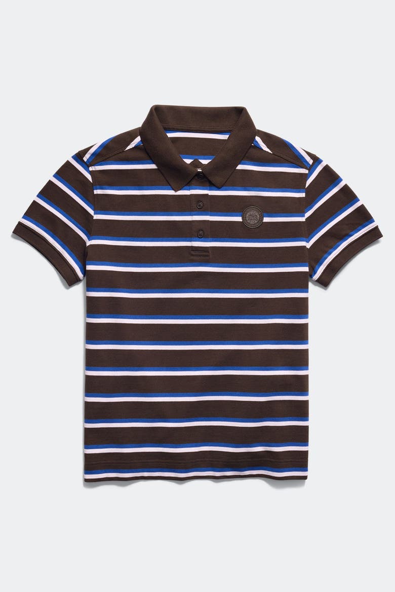 Almira Striped Polo Tonal Disc, Main, color, Terra Moncton Stripe