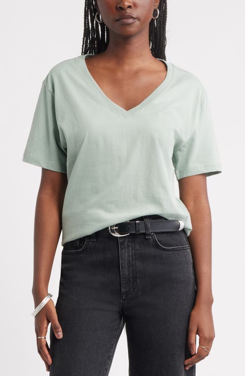 Treasure & Bond Core Cotton V-neck T-shirt In Neutral