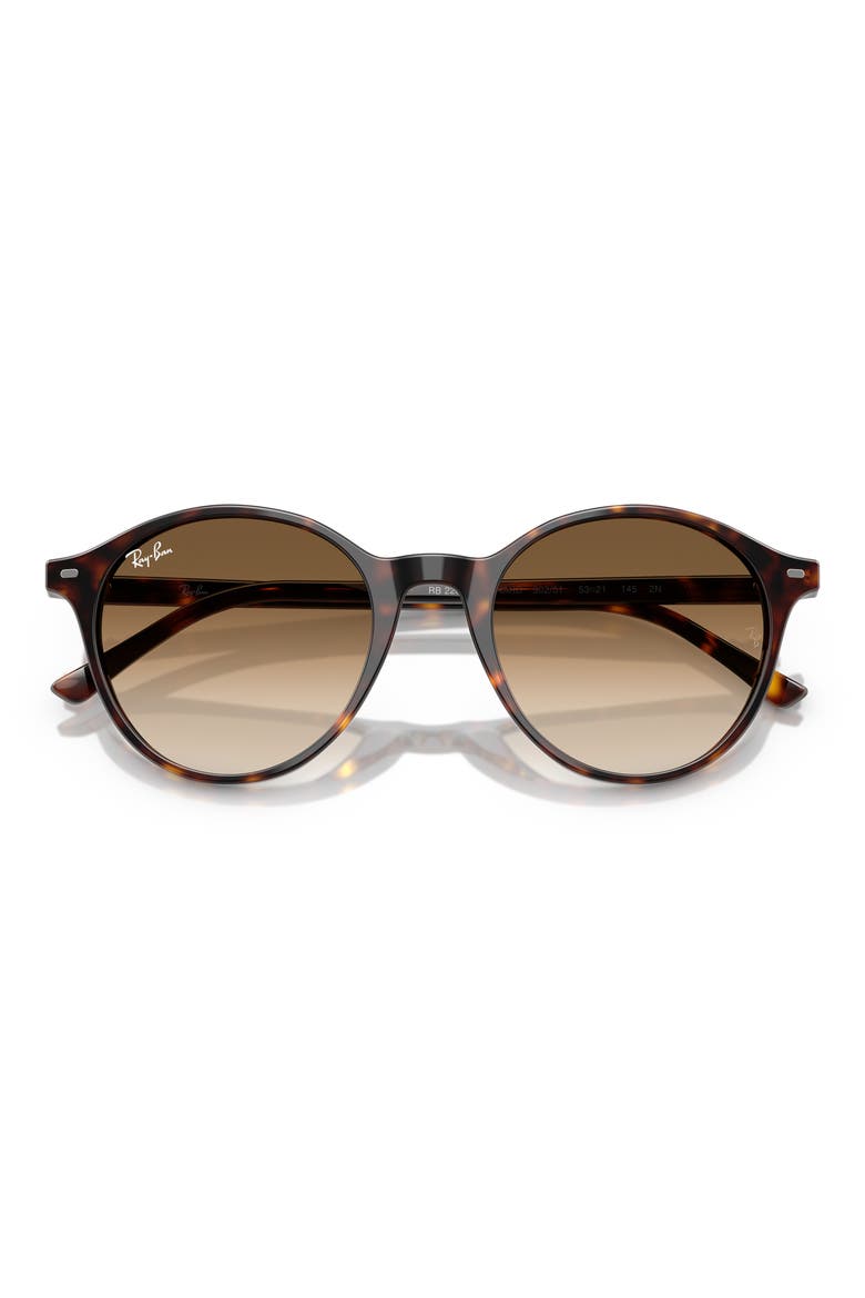 Phantos 53mm Round Gradient Sunglasses, Alternate, color, HAVANA