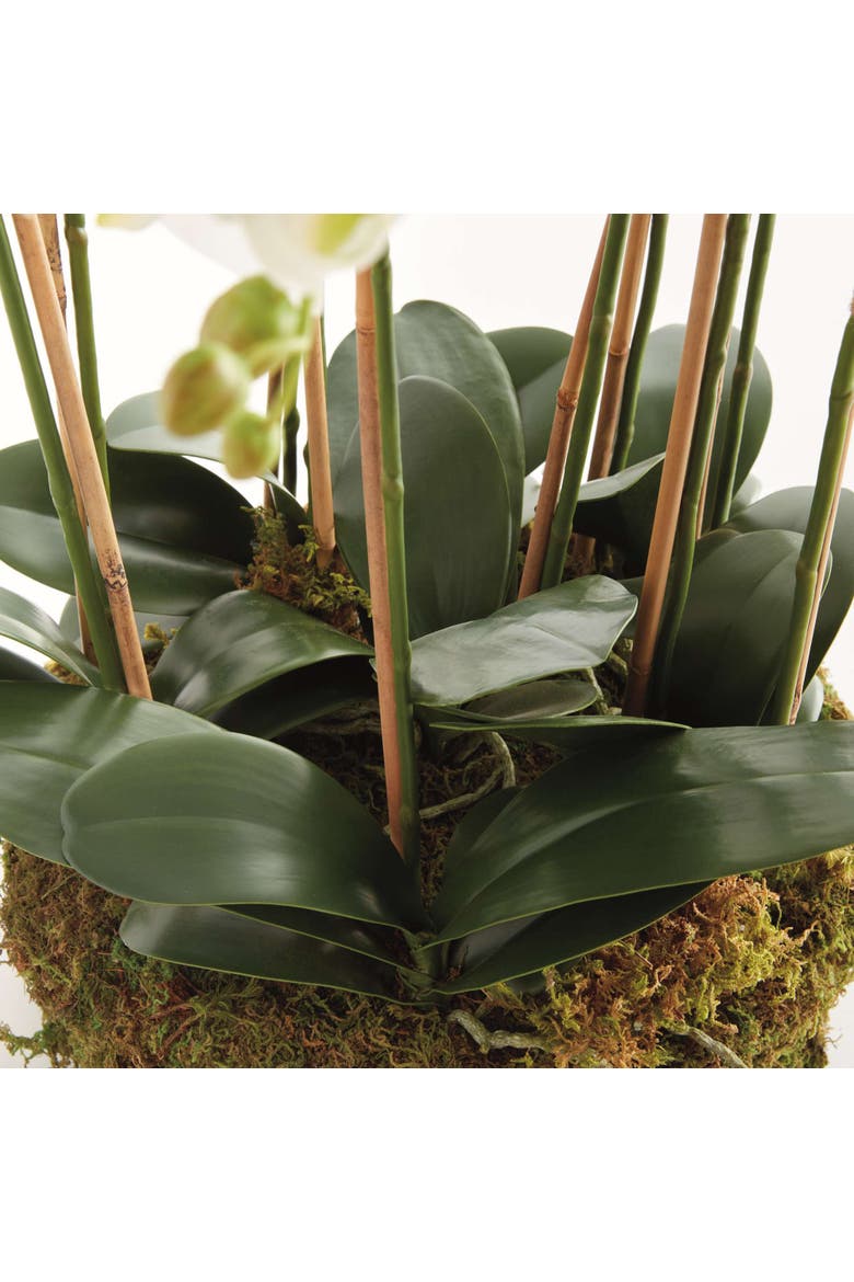 Phalaenopsis Orchid Bowl Drop-In 35", Alternate, color, White