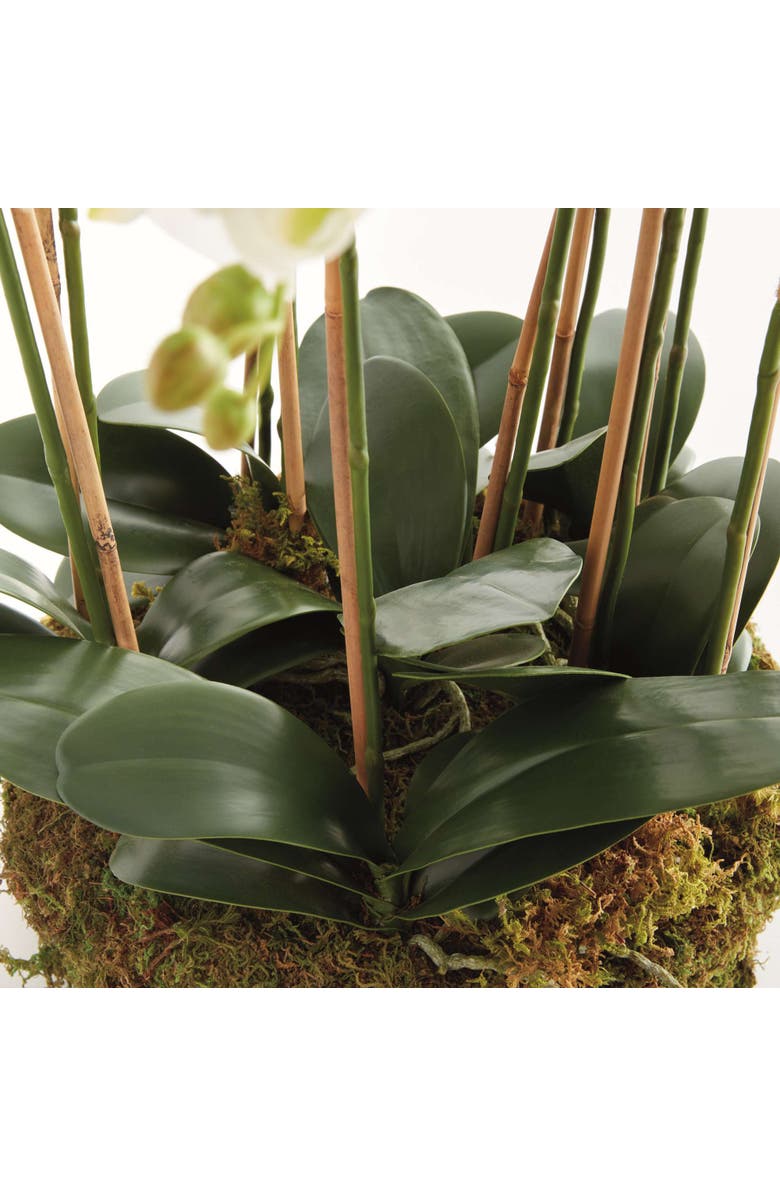 Napa Home & Garden Phalaenopsis Orchid Bowl Drop-In 35", Alternate, color, White