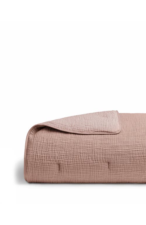 Parachute Marled Cloud Cotton Quilt In Pink