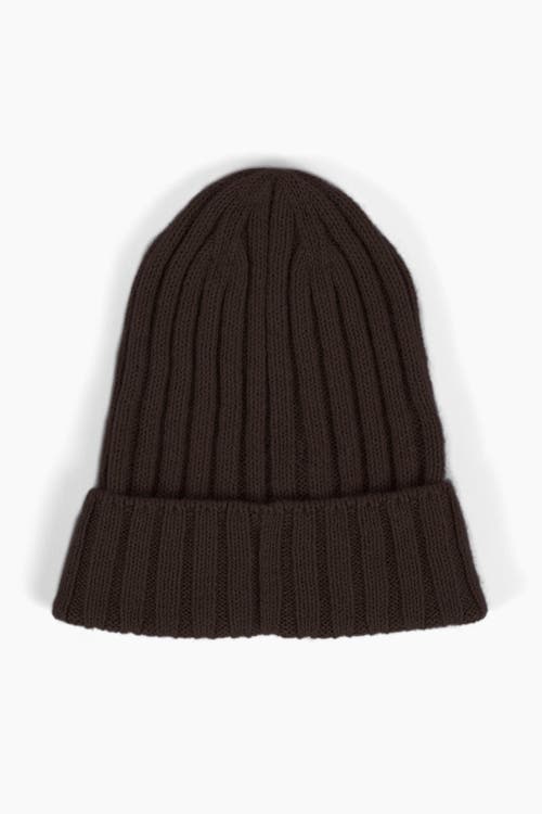 Sskein Ribbed Beanie In Brown Heather
