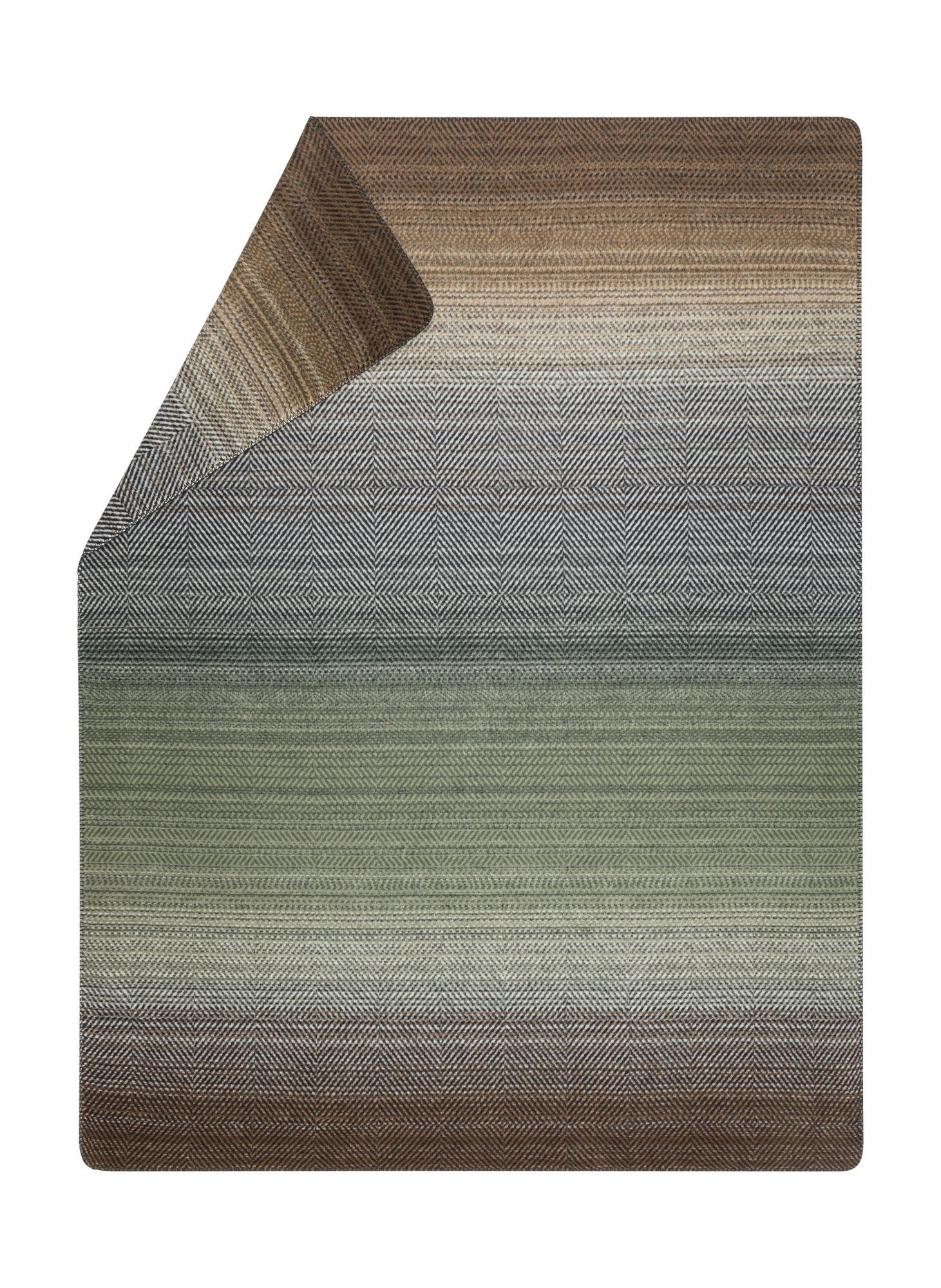 Ivy/Blue/Brown