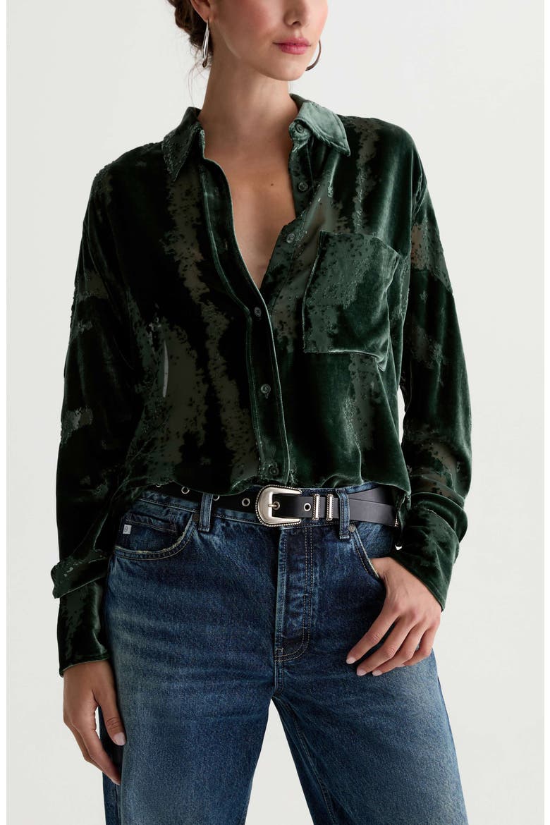 Sawtelle Burnout Velvet Shirt, Main, color, PINE