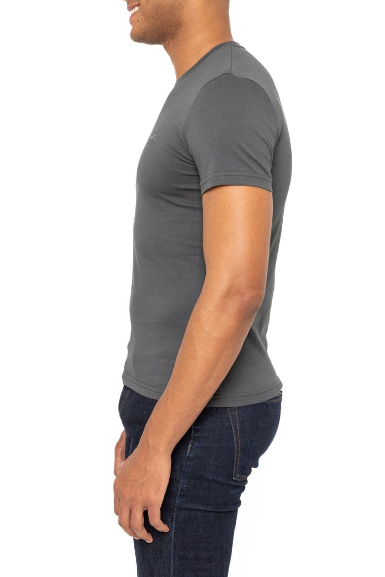 Amiens Crewneck Cotton T-Shirt, Alternate, color, GREY