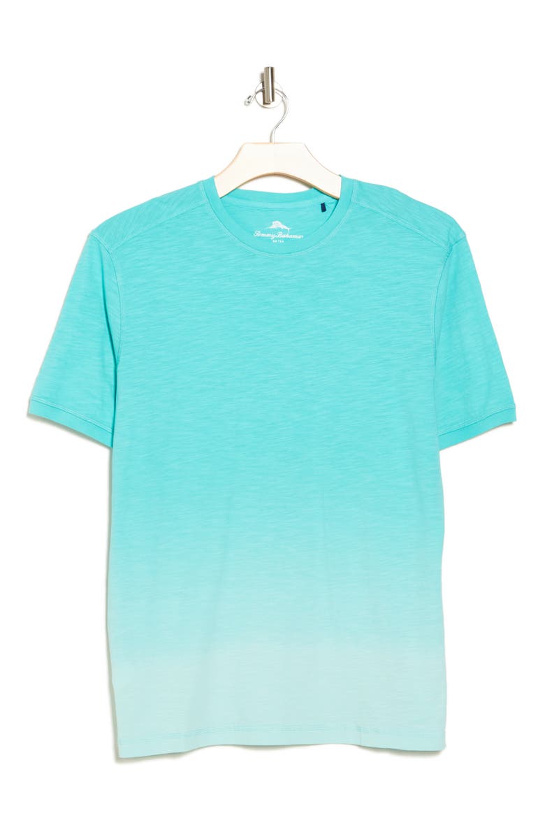 Coco Cloud Cotton T-Shirt, Alternate, color, KOHALA TEAL