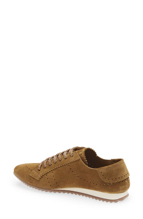 Pedro Garcia Celin Sneaker In Brown