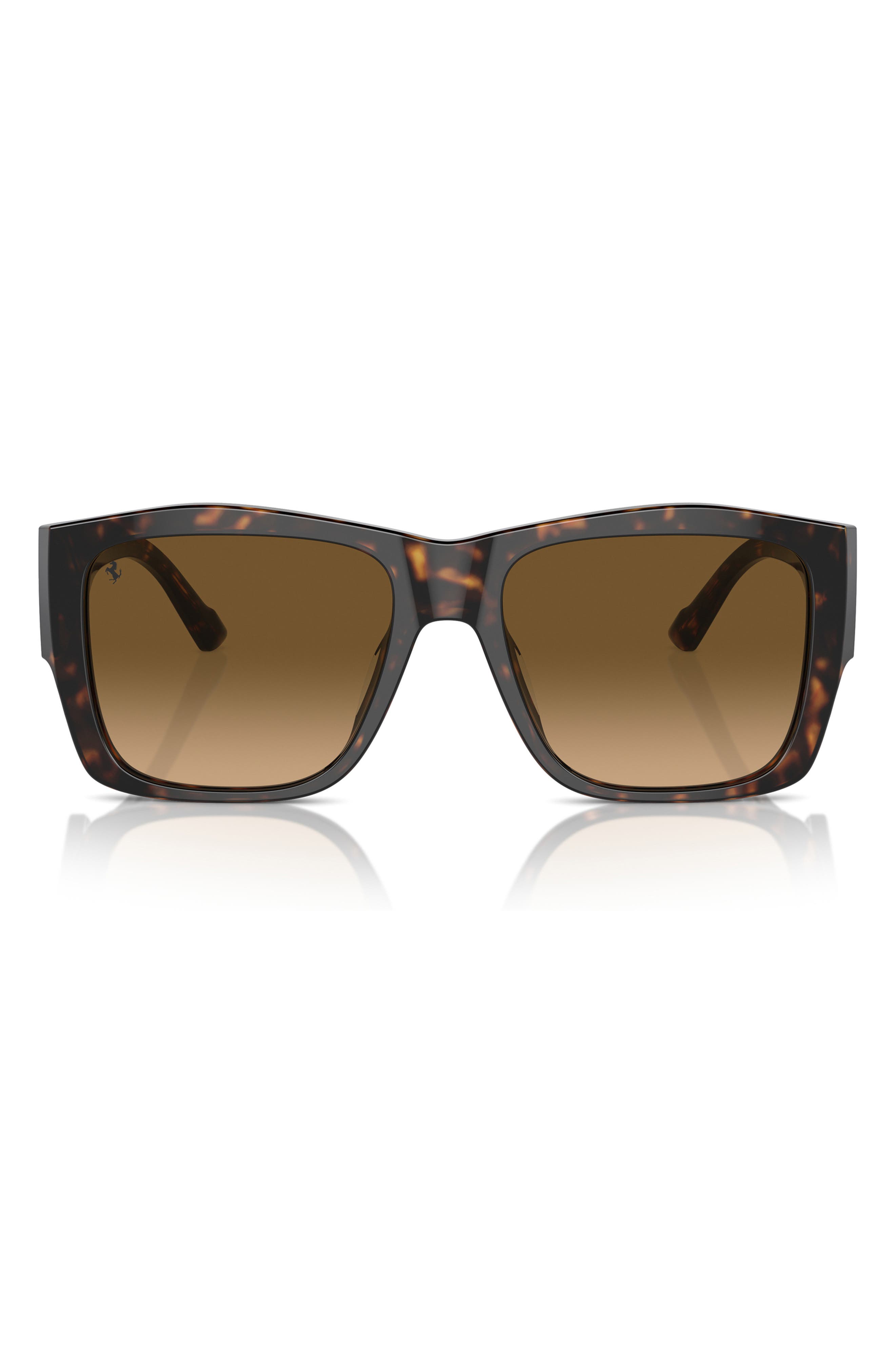 selected HAVANA / POLAR BROWN GRADIENT