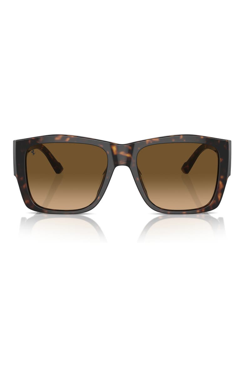 56mm Polarized Square Sunglasses, Main, color, HAVANA / POLAR BROWN GRADIENT