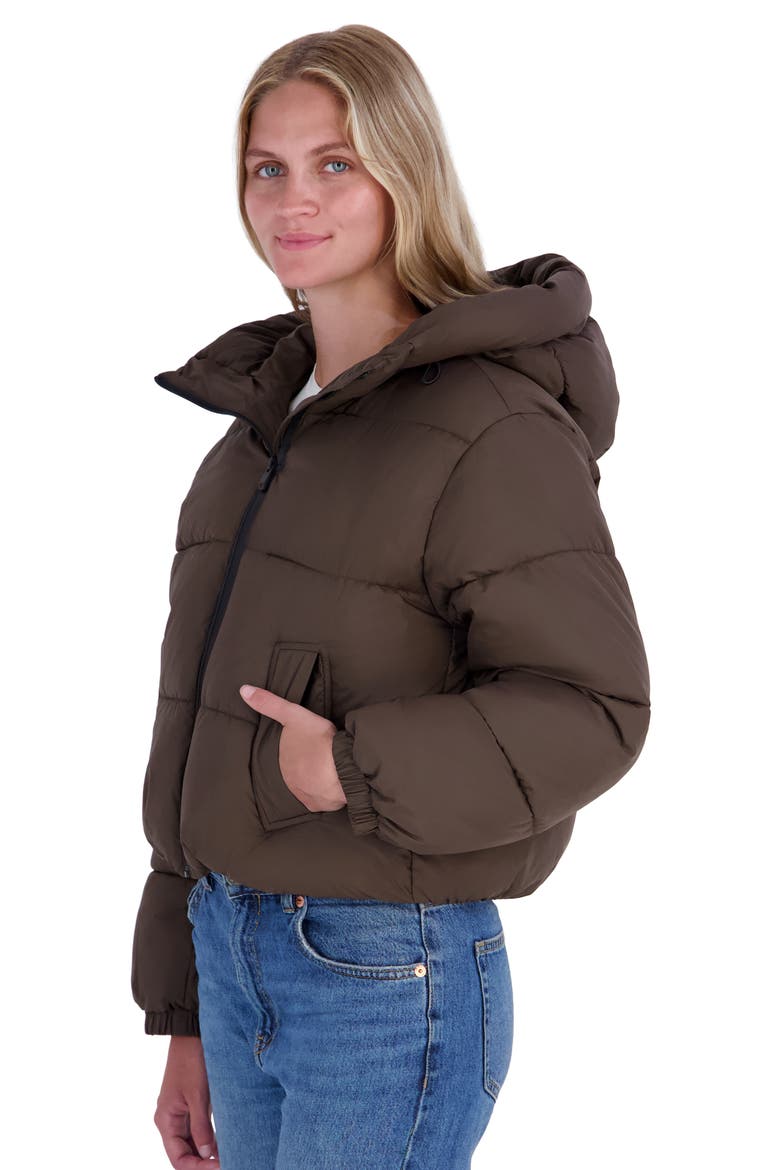 Audrey Hooded Puffer Jacket, Alternate, color, S10
