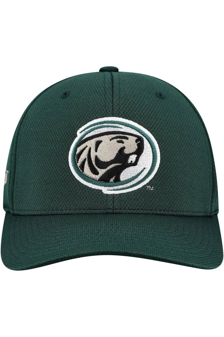 Men's Top of the World  Green Bemidji State Beavers Reflex Performance Flex Hat, Alternate, color, Green