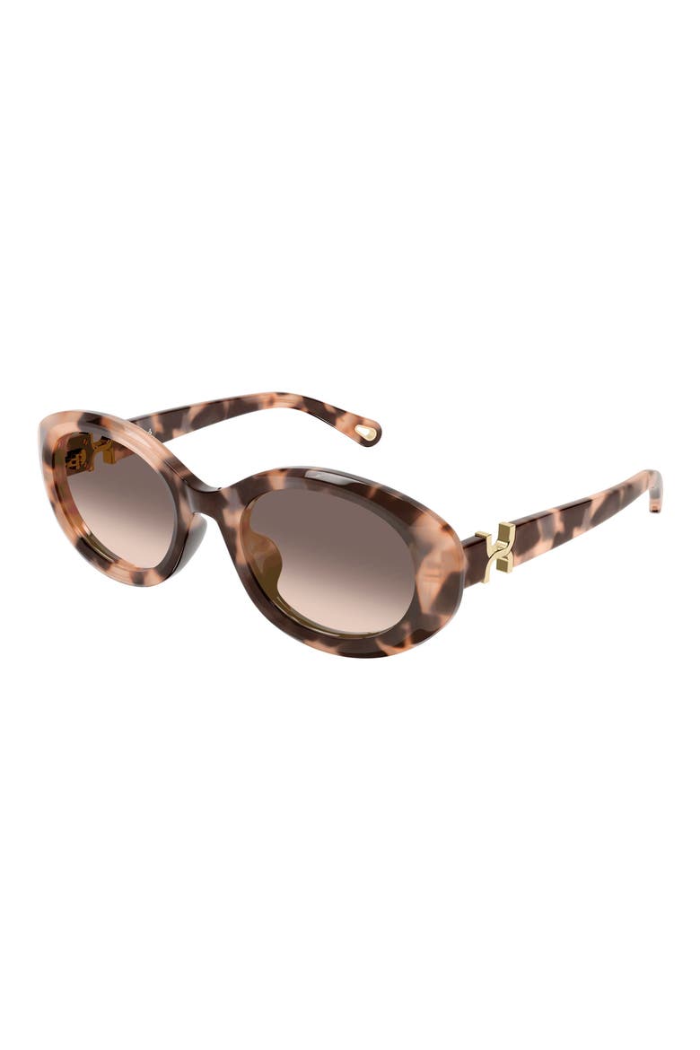 CH0323SK 54mm Gradient Round Sunglasses, Alternate, color, HAVANA
