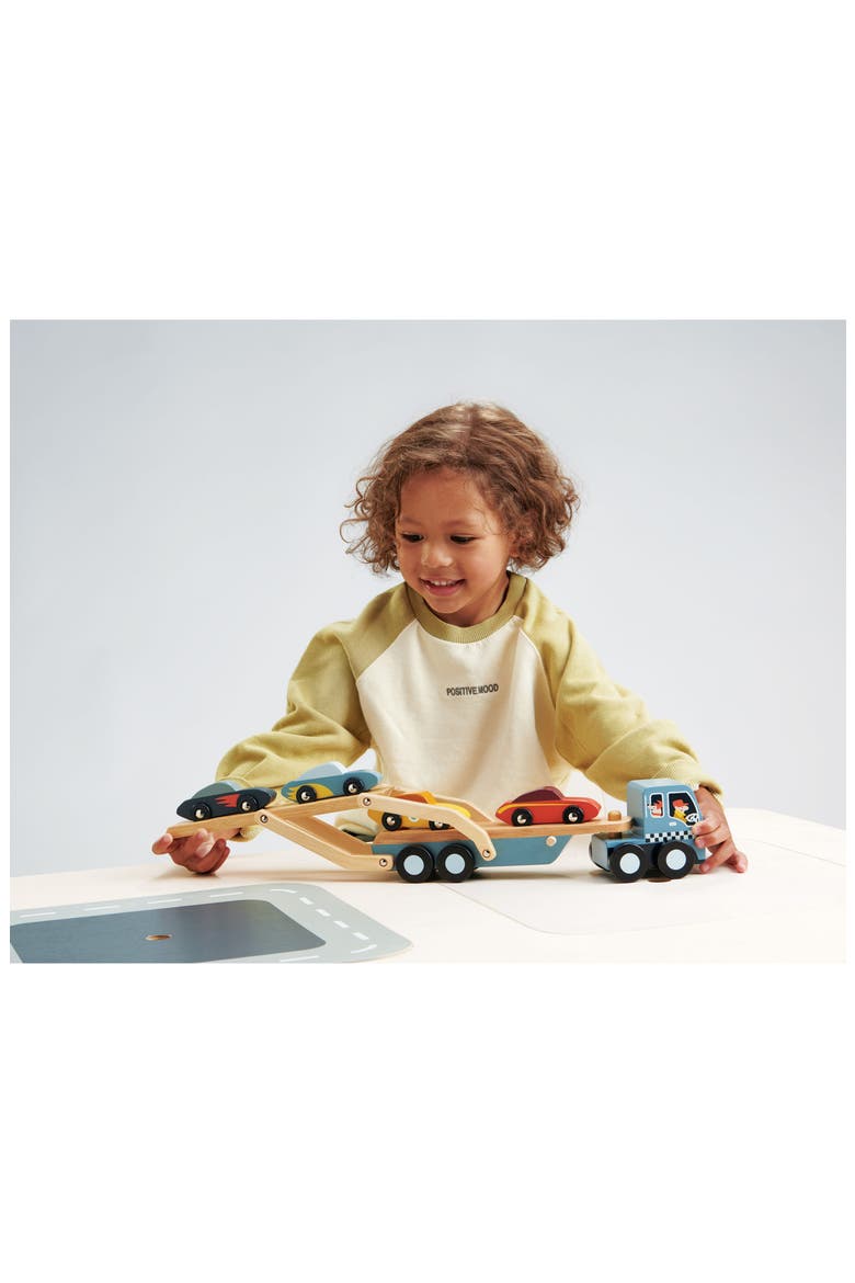 Car Transporter Wooden Toy Set, Alternate, color, MULTI