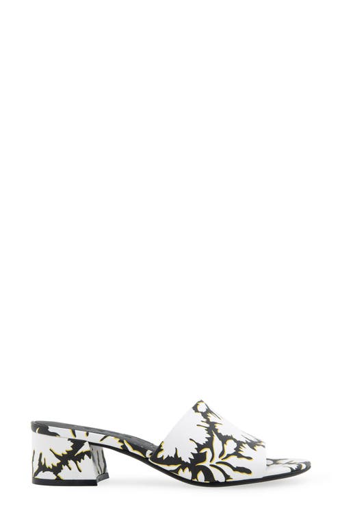 AEROSOLES AEROSOLES COMO SLIDE SANDAL